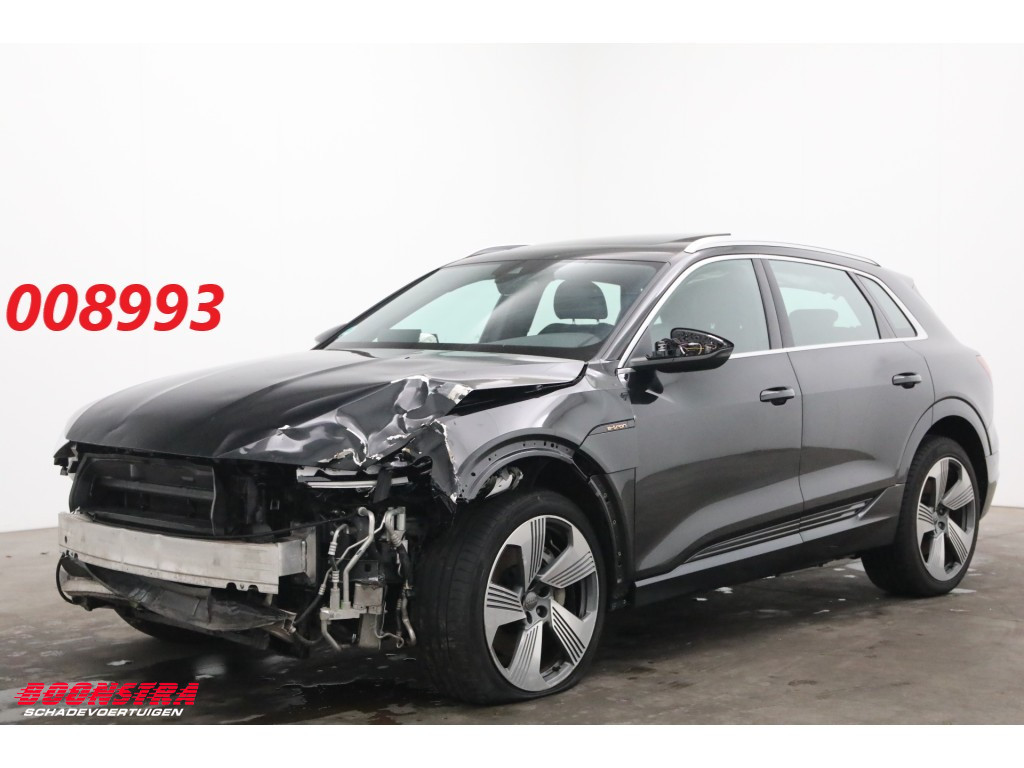 Audi e-tron 55 quattro 95 kWh Pano LED Cruise SHZ PDC